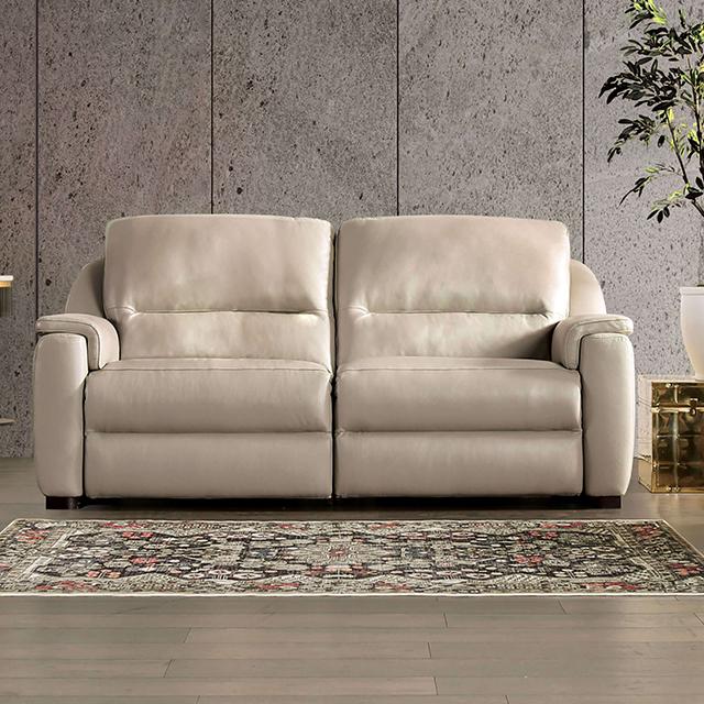ALTAMURA Power Loveseat, Gray & Beige